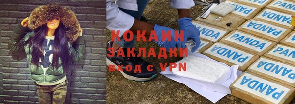 кокс Михайлов